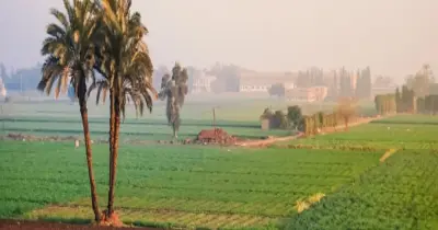 الصادرات الزراعية المصرية 2025.. الحكومة تعلن تسجيلها لزيادة جديدة