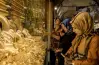 أسعار الذهب في مصر اليوم الإثنين 29 يونيو 2026.. عيار 24 بكام؟