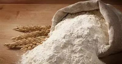 سعر شيكارة الدقيق 2022 بعد القفزة الأخيرة