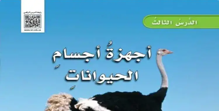  مطوية أجهزة أجسام الحيوانات صف رابع جاهزة 