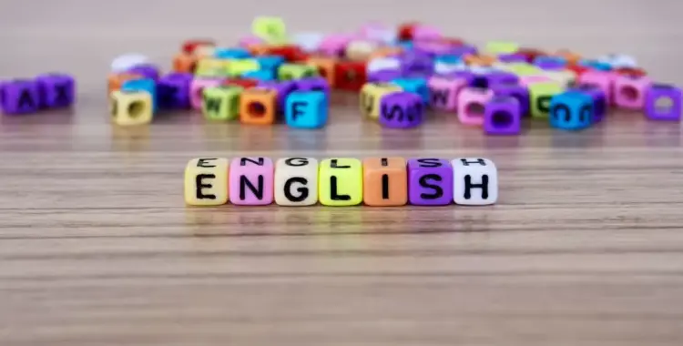  مراجعة شهر أكتوبر step ahead للصف الأول الابتدائي إنجليزي 2026 