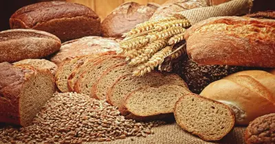 سعر دقيق الحبة الكاملة في مصر