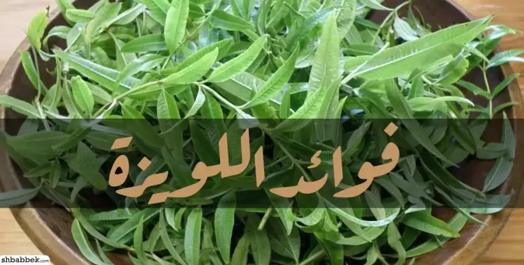  فوائد اللويزة.. 10 فوايد للعشب اللي زي العسل 