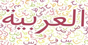 تحميل كتاب الامتحان لغة عربية للصف الثاني الإعدادي الترم الأول 2027.. بصيغة pdf