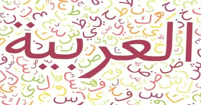 تحميل كتاب الامتحان لغة عربية للصف الثاني الإعدادي الترم الأول 2027.. بصيغة pdf