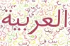 تحميل كتاب الامتحان لغة عربية للصف الثاني الإعدادي الترم الأول 2027.. بصيغة pdf
