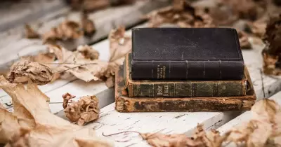 عايز تقرأ وتوفر فلوس؟.. 5 أماكن لشراء الكتب المستعملة