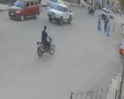 عقر 9 أشخاص في الأقصر.. تفاصيل هجوم كلب مسعور يثير ذعر الأهالي بالقرنة (فيديو)