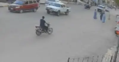عقر 9 أشخاص في الأقصر.. تفاصيل هجوم كلب مسعور يثير ذعر الأهالي بالقرنة (فيديو)