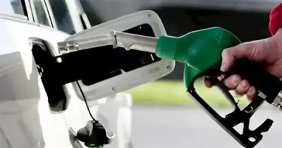 تعويض المتضررين من غش البنزين.. تفاصيل قرار وزارة البترول والشروط
