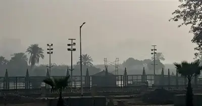 «شبورة وأمطار».. الأرصاد تعلن تفاصيل حالة الطقس حتى الجمعة المقبل