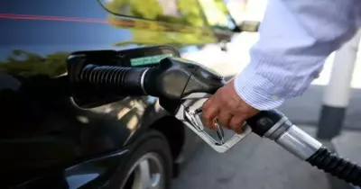 سيارات اقتصادية في الوقود.. مش هتحرق بنزين كتير