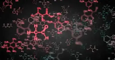 ملحق كتاب الامتحان كيمياء للصف الثالث الثانوي 2027 الأسئلة والمسائل