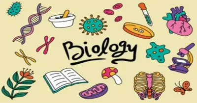 نماذج امتحانات المعاصر Biology الصف الثالث الثانوي 2026 بالإجابات