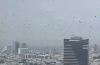 إنذار بكارثة.. الغربان تحتل سماء تل أبيب (فيديو)