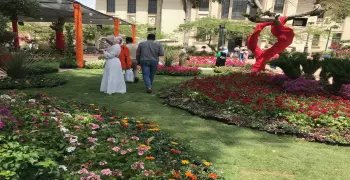 مواعيد معرض الزهور 2025 وسعر تذكرة الدخول