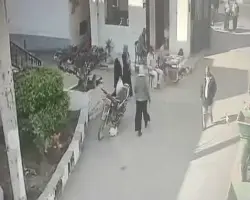 أول قرار ضد موظفة مديرية الزراعة بالغربية التي ضربت زميلها