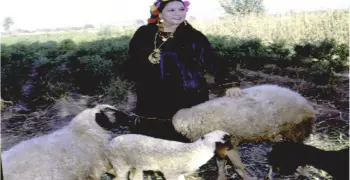 إشراف طبي على مدار الساعة.. تفاصيل الحالة الصحية للفنانة سهير زكي بعد دخولها العناية المركزة