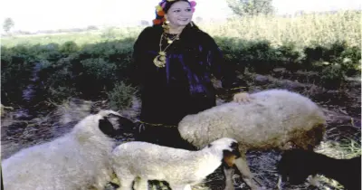 إشراف طبي على مدار الساعة.. تفاصيل الحالة الصحية للفنانة سهير زكي بعد دخولها العناية المركزة