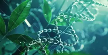 مقارنة البذور الإندوسبرمية واللا إندوسبرمية تالتة ثانوي أحياء 2026