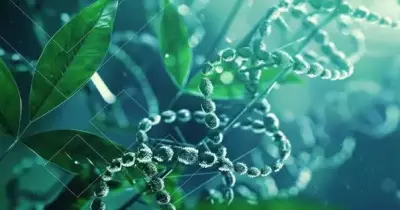 مقارنة البذور الإندوسبرمية واللا إندوسبرمية تالتة ثانوي أحياء 2026