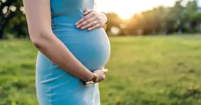 الجدول الصيني 2025.. حسابات تحديد نوع الجنين هذا العام