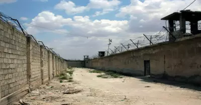 أسماء معتقلين صيدنايا 2024 بعد نهاية سجن الرعب