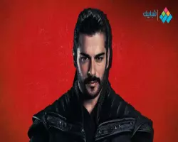 هل تم تأجيل مسلسل عثمان الحلقة 192؟ اعرف حقيقة الأمر