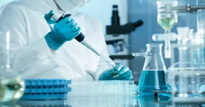 باحثون بجامعة اسكتلندية: يمكن القضاء على السرطان بـ«هيرا»