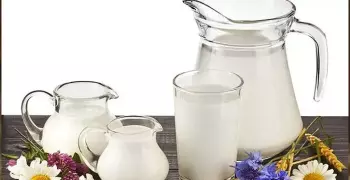 طريقة عمل السوبيا في البيت.. سهلة وبسيطة وغير مكلفة