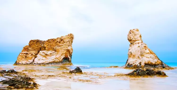  الجنيّة في مطروح.. عروض فنية ومسرح وسينما متفوتكش 