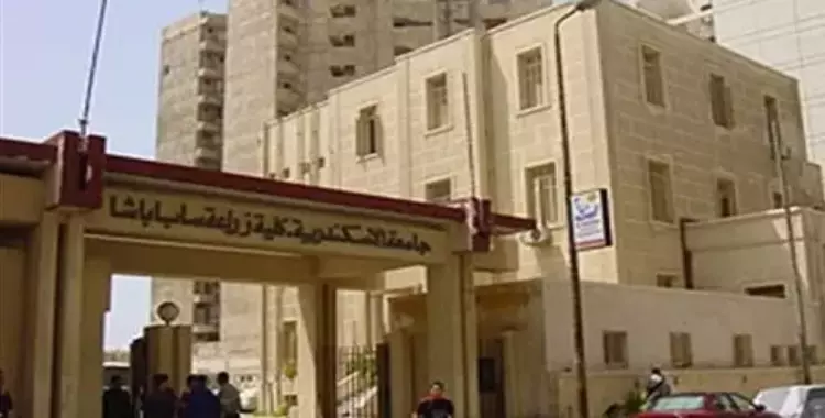  «زراعة الإسكندرية» تورّد 100 طن أرز للمدينة الجامعية 