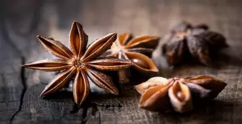 فوائد اليانسون النجمي لليشرة والصدر والقولون والتنحيف