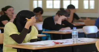 تنسيق المرحلة الثانية للمنوفية 2026.. النزول بحد القبول للثانوي العام
