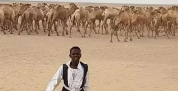 جامعة جنوب الوادي تنظم قافلة بيطرية وتوعوية لحلايب وشلاتين