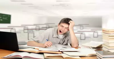هتركز في المذاكرة ولا قلة النوم هتفصلك؟.. اعرف الحل دلوقتي