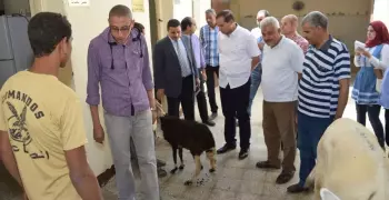 بالصور.. رئيس جامعة سوهاج يتفقد المستشفي البيطري