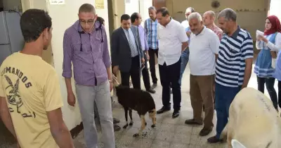 بالصور.. رئيس جامعة سوهاج يتفقد المستشفي البيطري