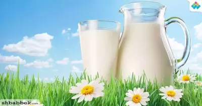ما هو لبن الجميد وما هي فوائده وأضراره؟