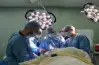 شروط ترخيص مزاولة مهنة الطب للعام الجديد 2026 2027