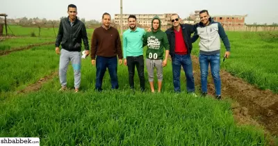 مشروع طلابي بزراعة المنوفية يساهم في تحقيق الاكتفاء الذاتي من القمح