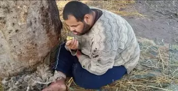 أم تربط ابنها بالشجرة كالماشية لإحضار الطعام له في الشرقية بالفيديو