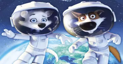 كرتون ومغامرة وكوميديا في أفلام السهرة