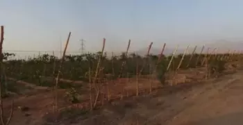 كيف تحصل على 10 أفدنة زراعية ومسكن في رأس سدر.. الشروط وطريقة التقديم