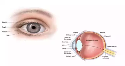 أعراض ضمور العصب البصري وعلاجه في ألمانيا