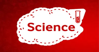 حل تقييمات الأسبوع السابع ساينس Science للصف الثاني الإعدادي الترم الأول 2027
