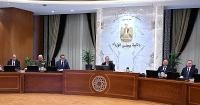 8 مدارس WE جديدة في المحافظات بقرار مجلس الوزراء