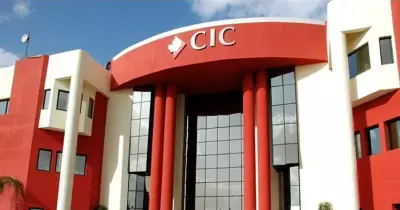 صدور القرار الجمهوري بإنشاء فروع للجامعات الأجنبية في مصر