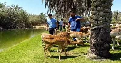 مواعيد فاميلي بارك الرحاب في عيد الفطر 2024