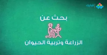 بحث عن الزراعة وتربية الحيوان